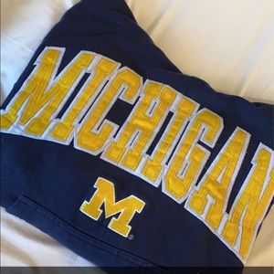 Vintage michigan Hoodie